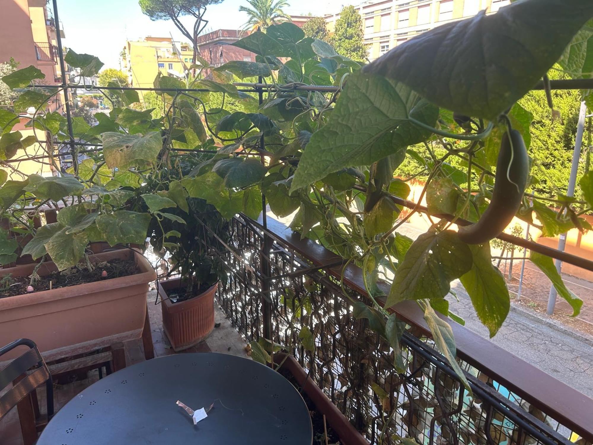 Bed and Breakfast La Fontana Di Carlotta Rom Exterior foto