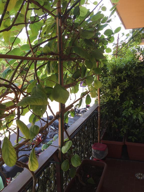 Bed and Breakfast La Fontana Di Carlotta Rom Exterior foto