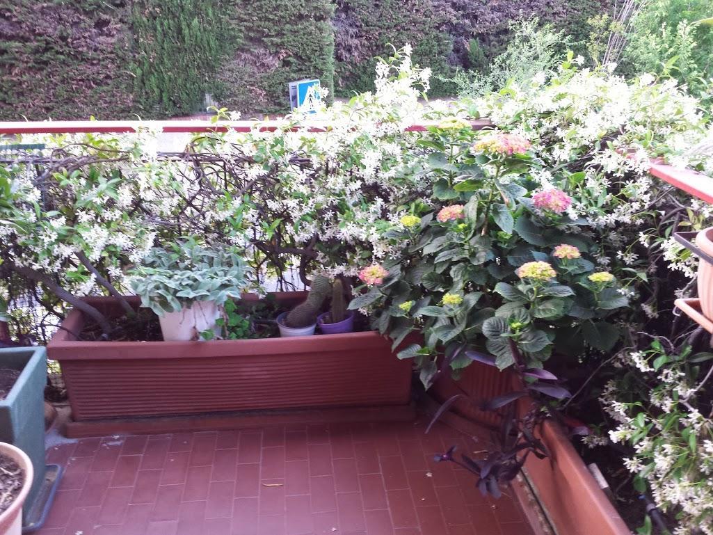 Bed and Breakfast La Fontana Di Carlotta Rom Exterior foto
